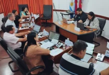 Resolución N° 04/2025: el Honorable Concejo Deliberante de San Vicente aprobó el presupuesto 2026 y reconoció a instituciones deportivas locales