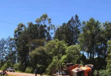 San Vicente: un camión cargado con madera volcó sobre la Ruta 14, pero el chofer salió ileso