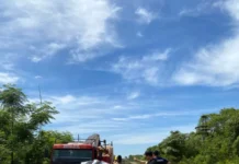 Tragedia en El Soberbio: dos personas murieron tras un choque entre un auto y un camión en la Ruta 13