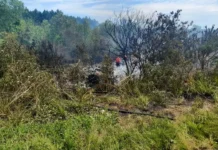 Tragedia en Mártires: una persona murió al incendiarse una camioneta tras un despiste