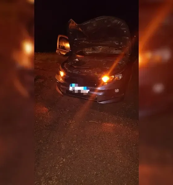 Peatón falleció tras ser atropellado por un auto sobre ruta 12 en Jardín América
