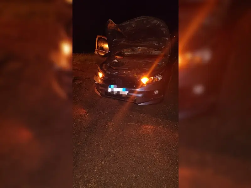Peatón falleció tras ser atropellado por un auto sobre ruta 12 en Jardín América