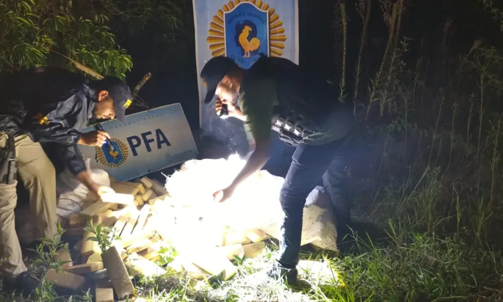 Golpe al narco en la frontera: secuestran 190 kilos de marihuana en un monte de Misiones