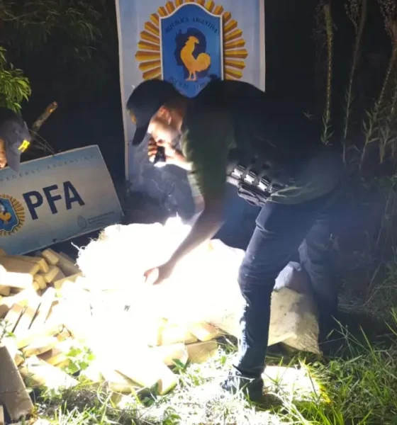 Golpe al narco en la frontera: secuestran 190 kilos de marihuana en un monte de Misiones